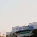 글렌체크&전기뱀장어 콘서트 네이버블로그