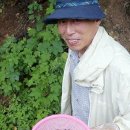 오디 이미지