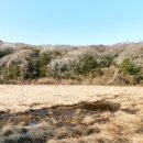 검은쇠몰고오는 이미지