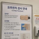 천자로 | 허리에서 뇌척수액을 뽑는다고요? 요추천자 검사 경험담