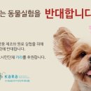 찌나화장품