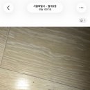 하트동물메디컬센터 | 의정부24시아이유동물메디컬센터 추천 | 고양이...진료 후기, 과거 타병원 장중첩술 후기 포함 (내돈내산)
