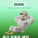 루원시티독 이미지