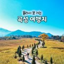 곡성기차마을전통시장 | 곡성 여행 코스 가볼만한곳 섬진강 기차마을 테라밸리 동화정원 침실습지 등
