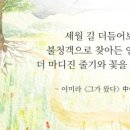 핑크스토리 이미지