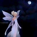화이트 페어리 이미지