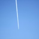 대관령사슴목장 이미지