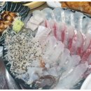산오징어 이미지