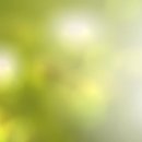 레브필라테스 네이버블로그