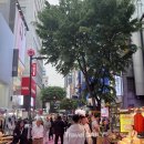 대로관광여행사㈜ 이미지