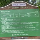 월드컵경기장 인근 공영주차장 네이버블로그