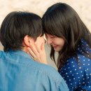 태풍이네 이미지