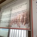 신별미코다리