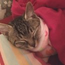 샘솟는가구백화점 이미지