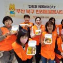 행복하개 반려동물 센터 이미지