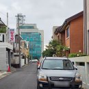 창영 | 제주 족발 맛집, 제주시 창영왕족발 솔직 후기