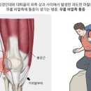 진주경희한의원 이미지