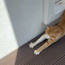 스테이 남양 이미지