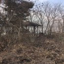 예스부동산중개주식회사 이미지