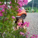 나연농장 이미지