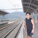 부어비다