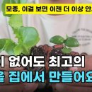 식물등 LED 이미지