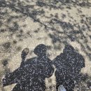 동락공원 자전거대여소(동절기) 이미지