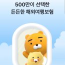 발리 여행 준비: 여행자 보험 가입 | 카카오페이 손해보험 가입 방법, 가격