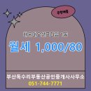 부산독수리부동산공인중개사사무소 이미지