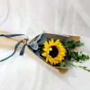 해바라기둘 이미지