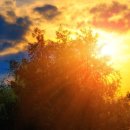 청산3호 태양광발전소 이미지