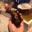 신비한 타로의 세계 이미지