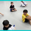 용인대대영태권도 이미지