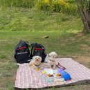 님도그냥 이미지