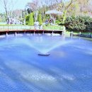 베이트리 이미지