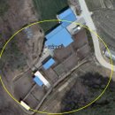 임실사슴농장 이미지