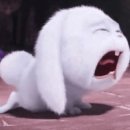 하우스 TALK 이미지