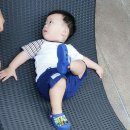이모시안 이미지