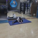 황해 휘트니스 이미지