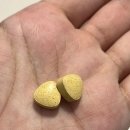 팜네이처스 | 지긋지긋한 직장인 두통, 네이처스팜 토라타민에프 제이엔 내돈내산 후기