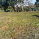 표선면사무소 이미지