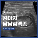 운남동물병원 이미지