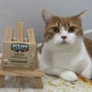 마르세유스토어 | 기름기 쏙! 고양이 생각한 천연 설거지바 마르세유 사용 후기