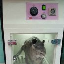 유석동물병원 네이버블로그