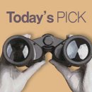 논공(대구)휴게소 한식 이미지