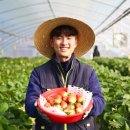 형은농장 이미지