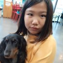 퍼피앤커피 이미지