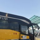 917 | 인천공항 대한항공 스위스 취리히 직항 KE917 이코노미후기 (좌석꿀팁,기내식후기)