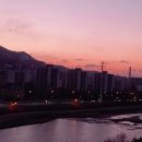 명품홍삼숙성삼겹살