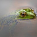 팔공산왕건길 7코스 이미지